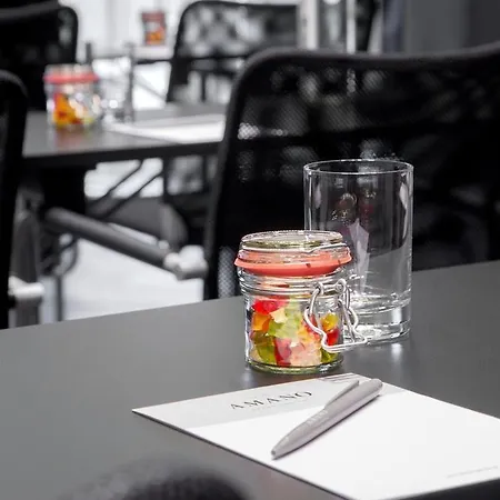 Hotel Amano Grand 4*